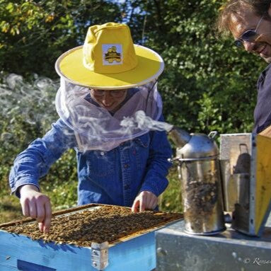 Bio-Bergblumenhonig von EdenBee, 400g | Vielfalt der Natur