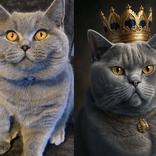 Dreizack Königliches Katzenportrait – Personalisiertes Portrait deiner Katze mit Krone, Robe und Schmuck. Erhältlich als digitaler Download, Poster oder Leinwand in verschiedenen Größen. Dreizack Wien.