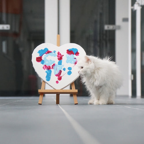 Snowball’s Herzkunst“: Ein Acrylbild auf herzförmiger Leinwand (40 x 40 cm), gemalt von der Katze Snowball aus dem Tierquartier Wien. Sanfte Blau-, Rosa- und Rottöne. 100 % des Erlöses gehen an das Tierquartier Wien für Tiere in Not.