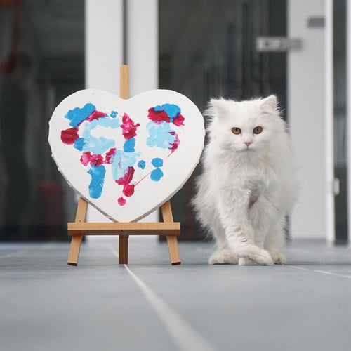 Snowball’s Herzkunst“: Ein Acrylbild auf herzförmiger Leinwand (40 x 40 cm), gemalt von der Katze Snowball aus dem Tierquartier Wien. Sanfte Blau-, Rosa- und Rottöne. 100 % des Erlöses gehen an das Tierquartier Wien für Tiere in Not.