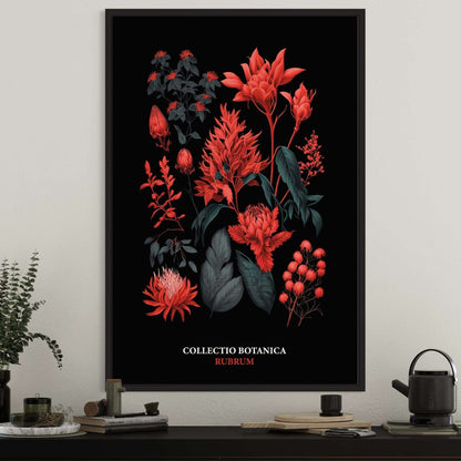 "Collectio Botanica" – Kollektion eleganter botanischer Kunstprints Rubrum | Rot / A4 - 21 x 29.7cm Prints & Art Dreizack oesterreich handgemachte geschenke in wien