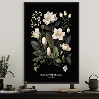 "Collectio Botanica" – Kollektion eleganter botanischer Kunstprints Albus | Weiß / A4 - 21 x 29.7cm Prints & Art Dreizack oesterreich handgemachte geschenke in wien